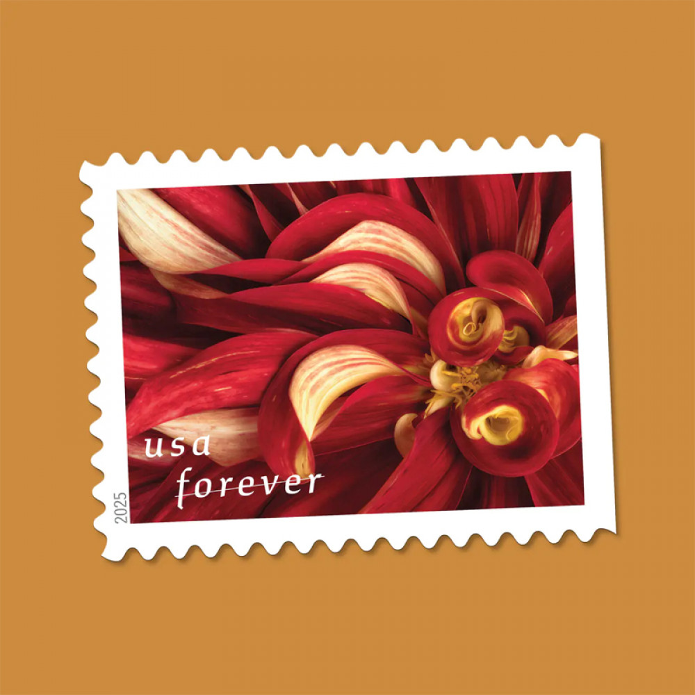 2025 Dahlias Stamps Book of 20