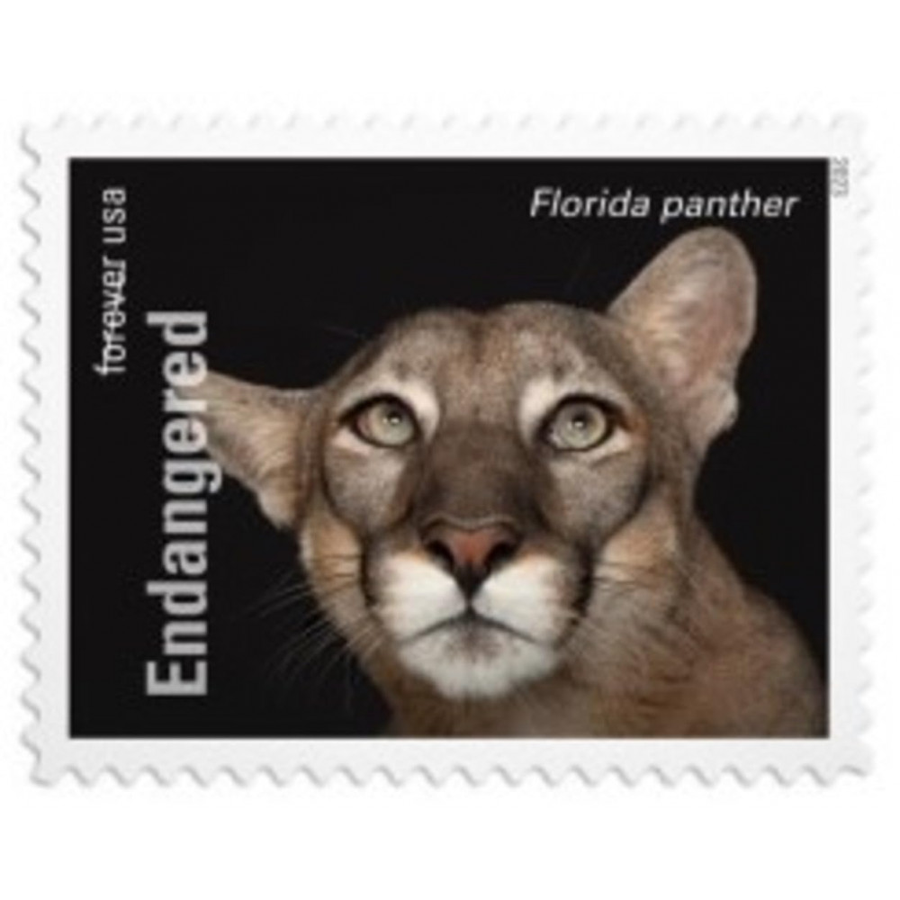 2023 US Endangered Species First Class Postage Forever Stamps